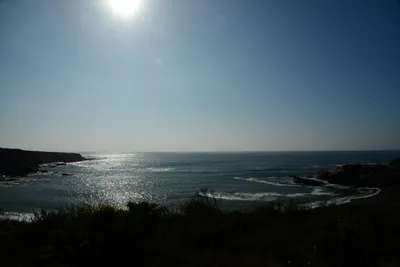 DSC_2719 (Large).JPG